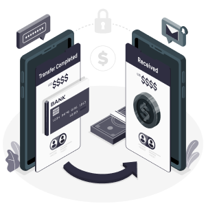 Payment Gateway Accounting